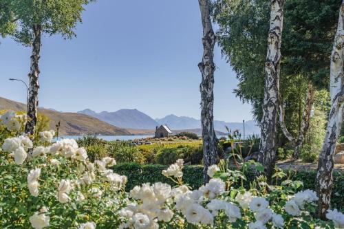 Lodge | Lake Tekapo