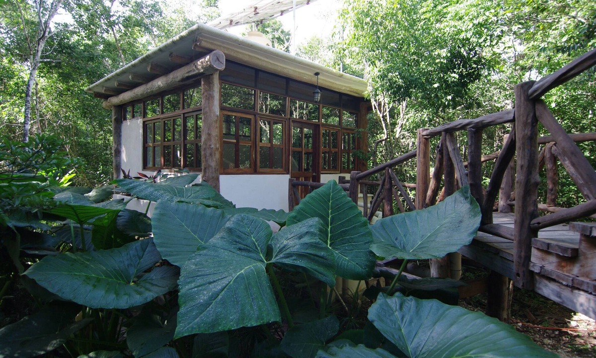 Tulum Cottage | Casita Milagros - A Jungle Tree House