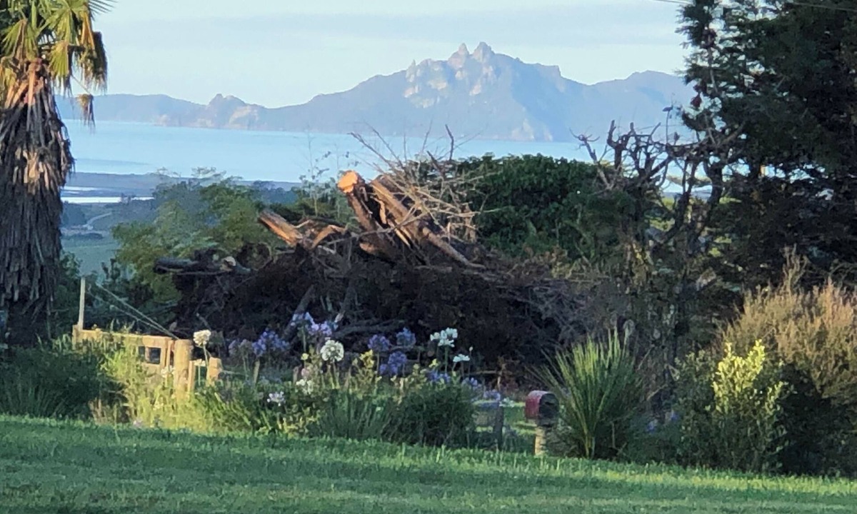 Mangawhai Apartment | Driftwood Apt-Hosted By Amanda&DavenFamily & Pet friendly(must be requested)