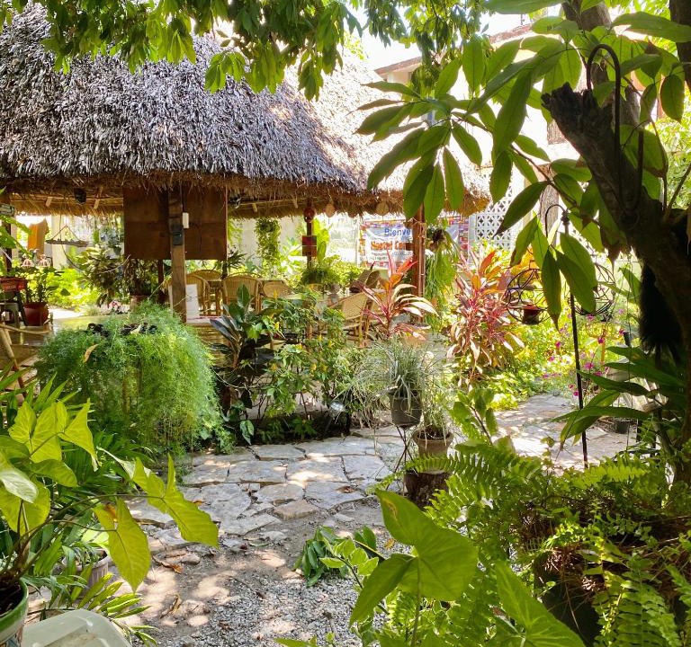 Zona Centro House | Hostal Casa Huasteca