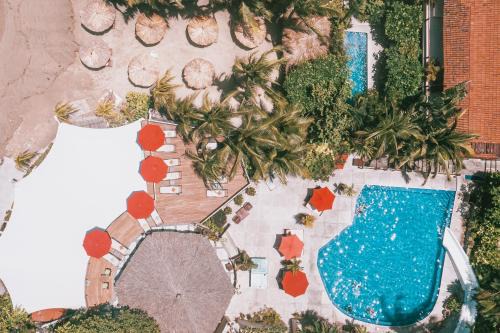 Hotel Aura Del Mar | Playa la Madera