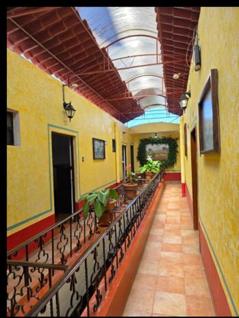 Celaya Hotel | Hotel Bamboo Sauces Celaya