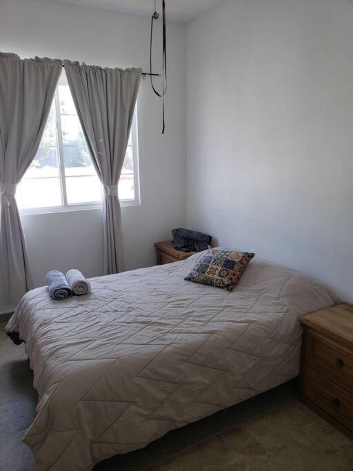Monterrey Municipality Apartment | Petit y comodo loft en la ciudad.