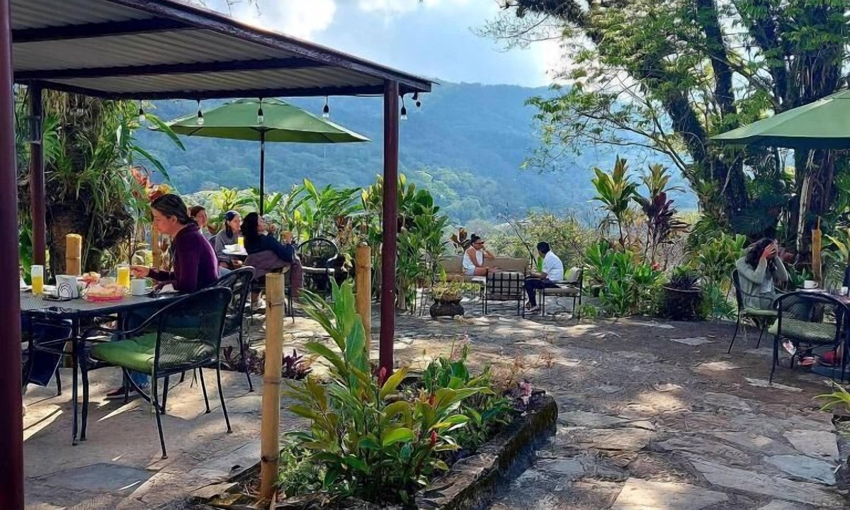 Xilitla Hotel | Posada James
