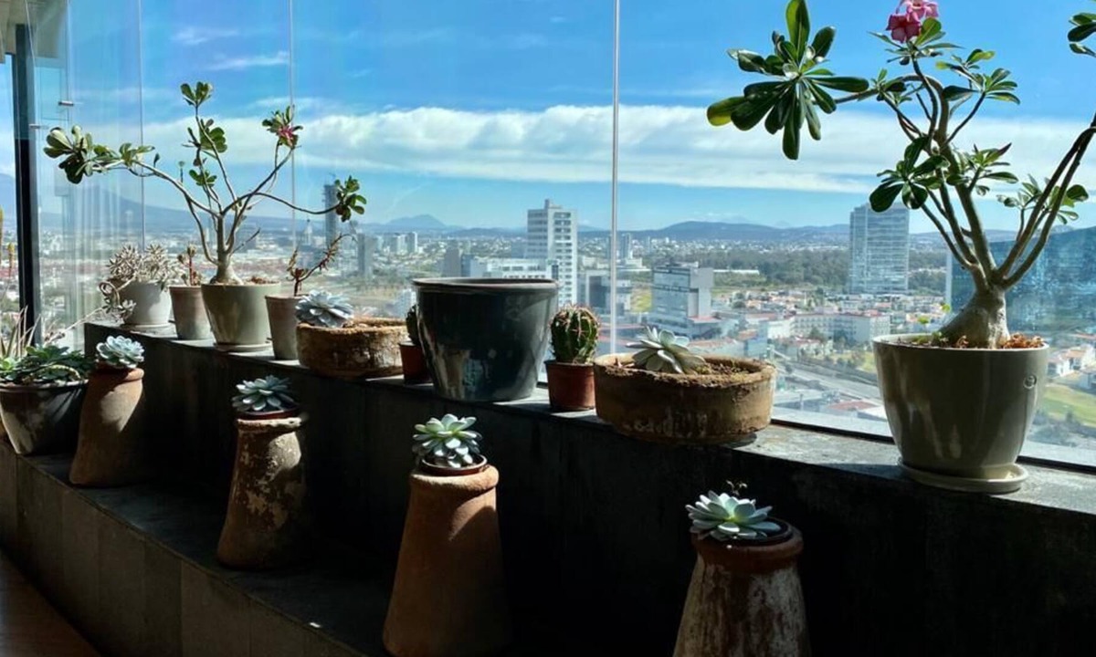 Angelopolis Condo | Spectacular views, beautiful space!