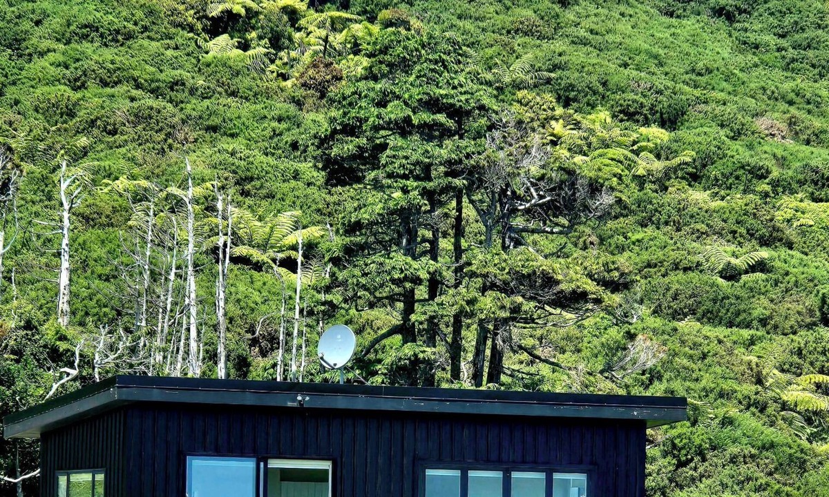 Greymouth Apartment | Tiny House close to Walking Tracks and beach only 5 mins to Greymouth Central