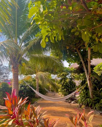 Troncones Hostel | Troncones Point Hostel
