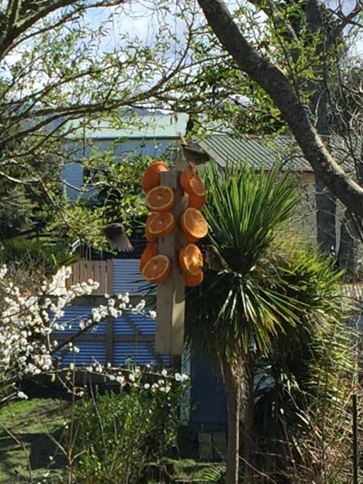 Waihi House | Union Street Hideaway
