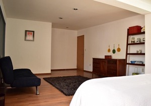 Beautiful house in Condesa