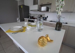Boutique Apartment Downtown 707 two bedrooms