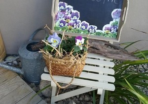 Grampians B&B