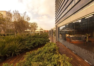 Hilton Mexico City Reforma
