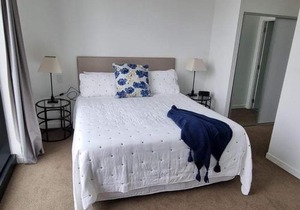 Modern, Central City, Penthouse Floor Apartment.
