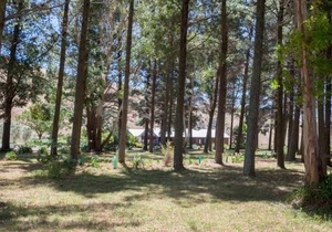 Savana Estate Chalet 3