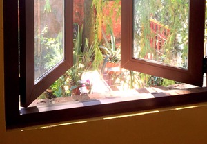 Very close to the House of Frida Kahlo!