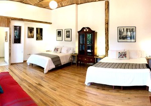 Very close to the House of Frida Kahlo!