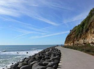 Ariki Backpackers | New Plymouth CBD