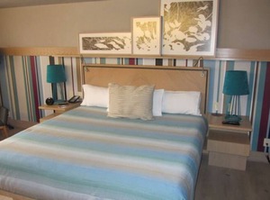Galeria Plaza Reforma | Zona Rosa