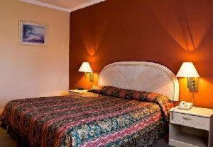 Hotel San Francisco Leon | Leon