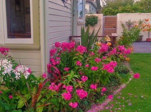 Cottage | Motueka