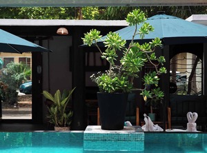 Zihua Mia Hotel Boutique | Centro