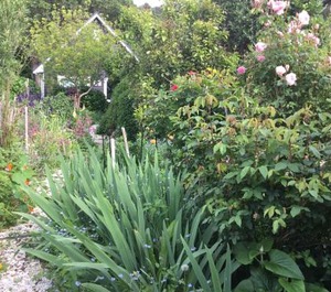 Hahei Kereru Cottage 