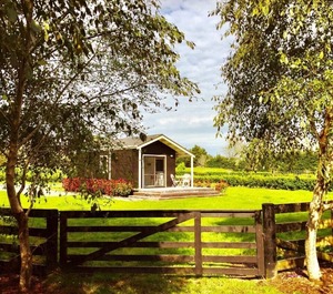 Matakana Country Cottage 