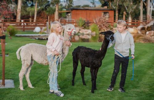Prebbleton House | Expansive Luxury Country Escape