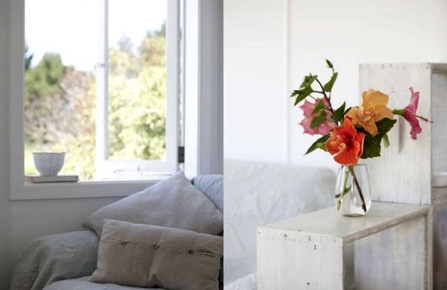 Pataua North House | House ∙ 1 bedroom ∙ 6 guests