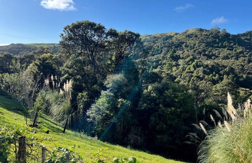 Whangaripo House | House ∙ 1 bedroom ∙ 2 guests