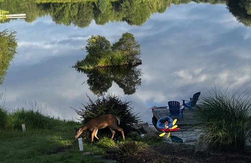 Pocono Lake Cottage | Lakefront Home with Amazing Views!