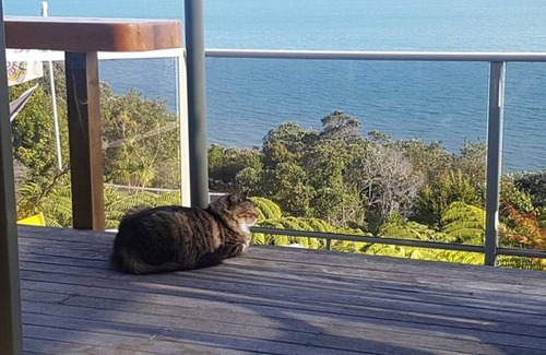 Whangaparaoa Resort | Private room ∙ 2 guests