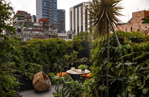 Colonia Cuauhtemoc Apartment | Reforma Guest House