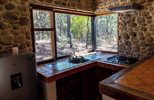 Mascota Cabin | Roca Venados