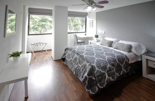 Del Valle Apartment | Suite G Mancera