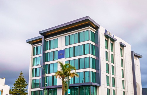 Lower Hutt Apartment | The Sebel Wellington Lower Hutt