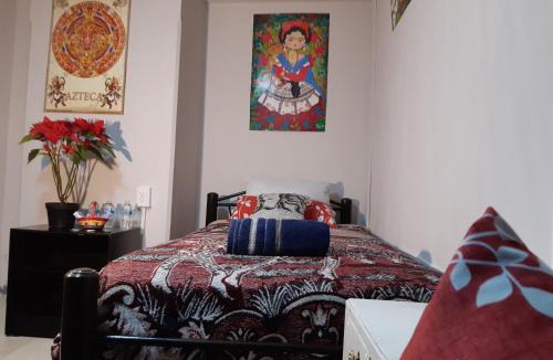 Colonia Centro House | Alameda House