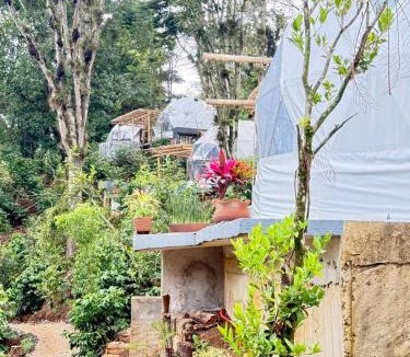 Xalapa Other | Alma Glamping