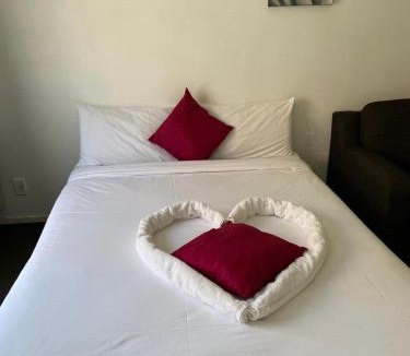 Fenton Street Hotel | Baden Lodge Motel - PRIVATE SPA Bath