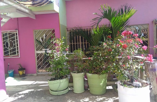 Jiutepec Apartment | CASA BUGAMBILIA se factura