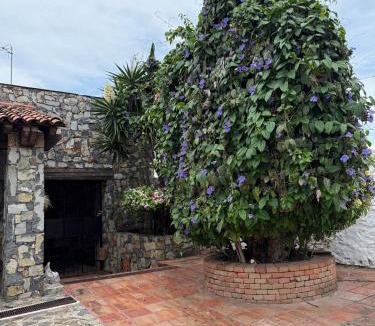 Jimenez Apartment | Casa de Piedra