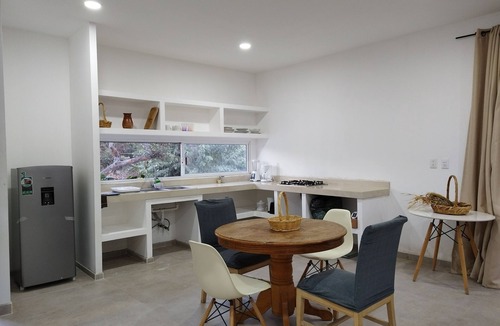 Ciudad Fernandez Apartment | Casa Mango Departamento amplio