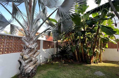 San Francisco Villa | Casa Xolo!