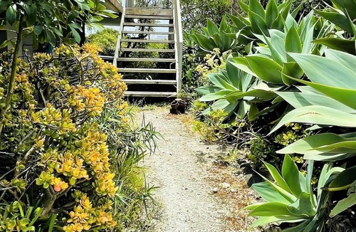 Te Akau Apartment | Cosy retreat overlooking the dune sanctuary