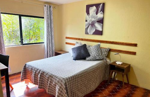 Hipodromo House | Discover Condesa Ideal Location