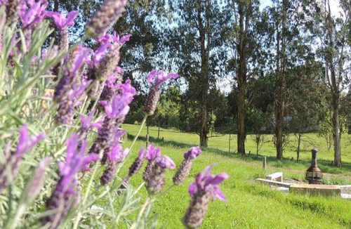 Ohaupo House | Enjoy the peace and harmony of Nz country. A sunny well appointed holiday appt.