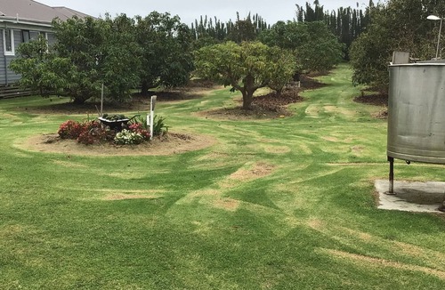 Waiharara Apartment | FAR NORTH CHILLAXING, QUIET AND SECLUDED
