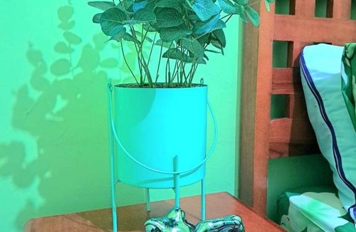 Taxco House | Frog room Taxco downtown