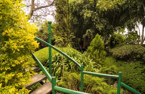 Guadalupe Inn Apartment | GARDEN HOUSE 1 BDR/DOUBLE BED/FULL BATHROOM/KITCHEN/LIVING & DINING ROOM