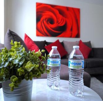 Roma Norte Apartment | Hermoso PH !, en el corazón de la Roma